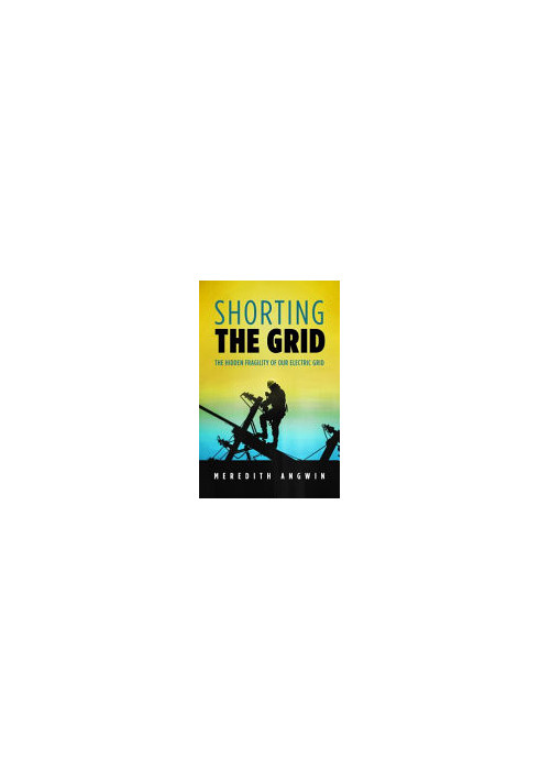Shorting the Grid