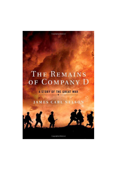 The remains of Company D : a story of the Great War