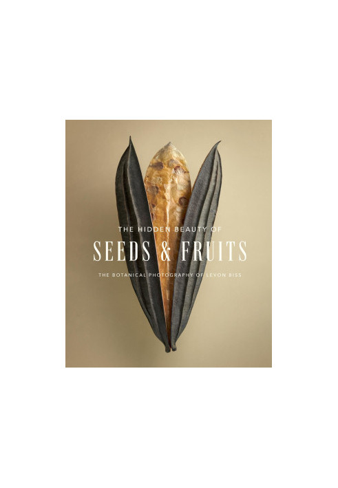 The Hidden Beauty of Seeds & Fruits