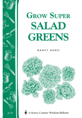 Grow super salad greens