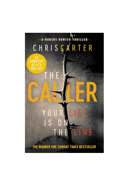 Robert Hunter 09: The Caller