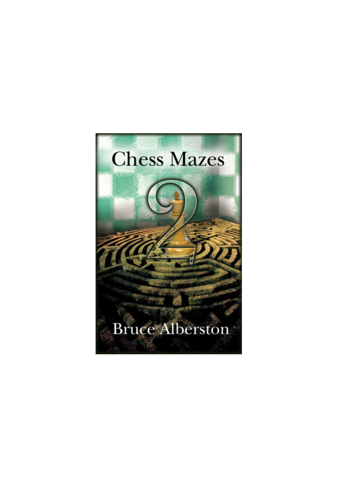 Chess mazes 2: the chess puzzle for everyone