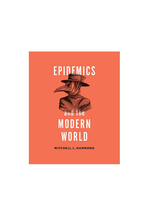 Epidemics and the Modern World