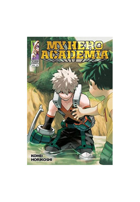 My Hero Academia, Vol. 29