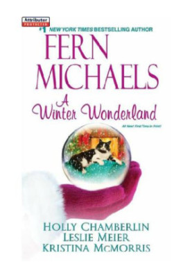 A Winter Wonderland (Lucy Stone Mystery 18.5)