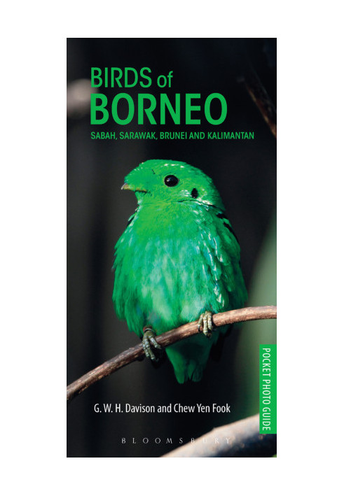 Birds of Borneo