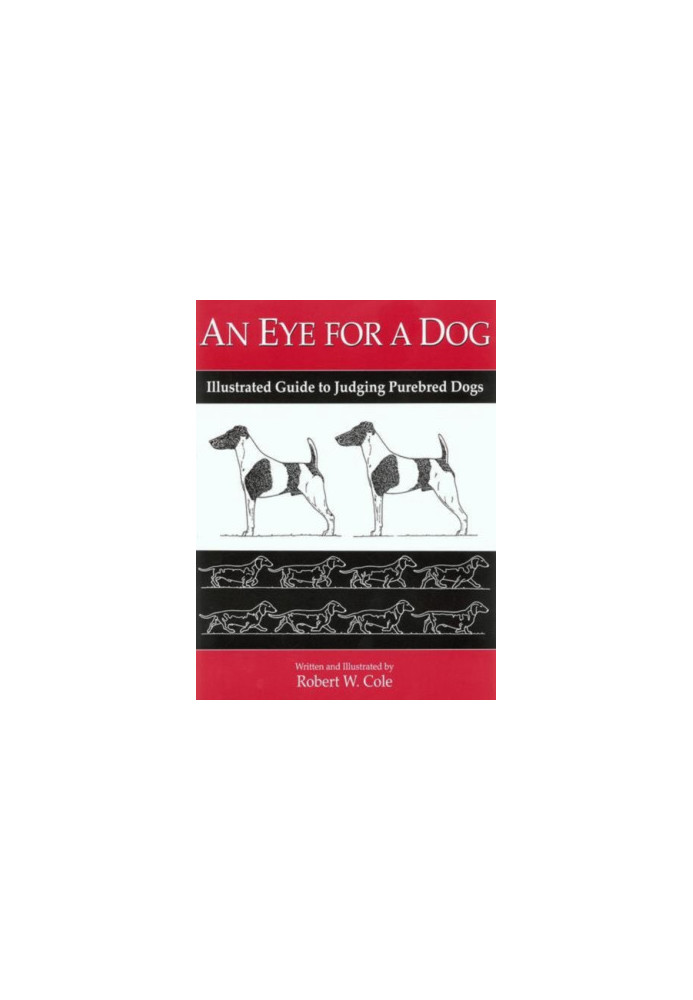 An Eye for a Dog