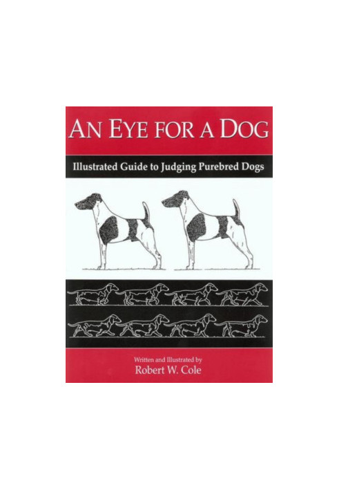 An Eye for a Dog