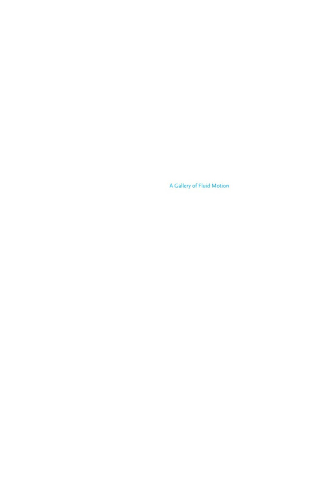 A gallery of fluid motion