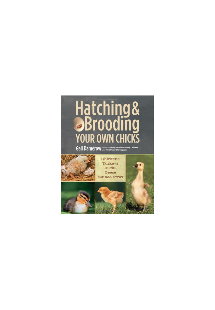 Hatching & Brooding Your Own Chicks: Chickens, Turkeys, Ducks, Geese, Guinea Fowl