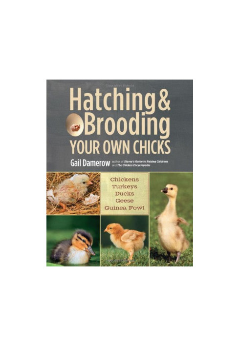 Hatching & Brooding Your Own Chicks: Chickens, Turkeys, Ducks, Geese, Guinea Fowl