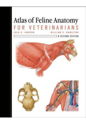 Atlas of Feline Anatomy for Veterinarians
