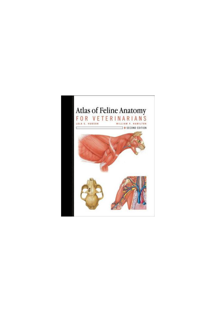 Atlas of Feline Anatomy for Veterinarians