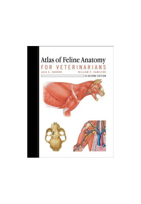 Atlas of Feline Anatomy for Veterinarians
