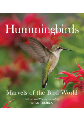 Hummingbirds