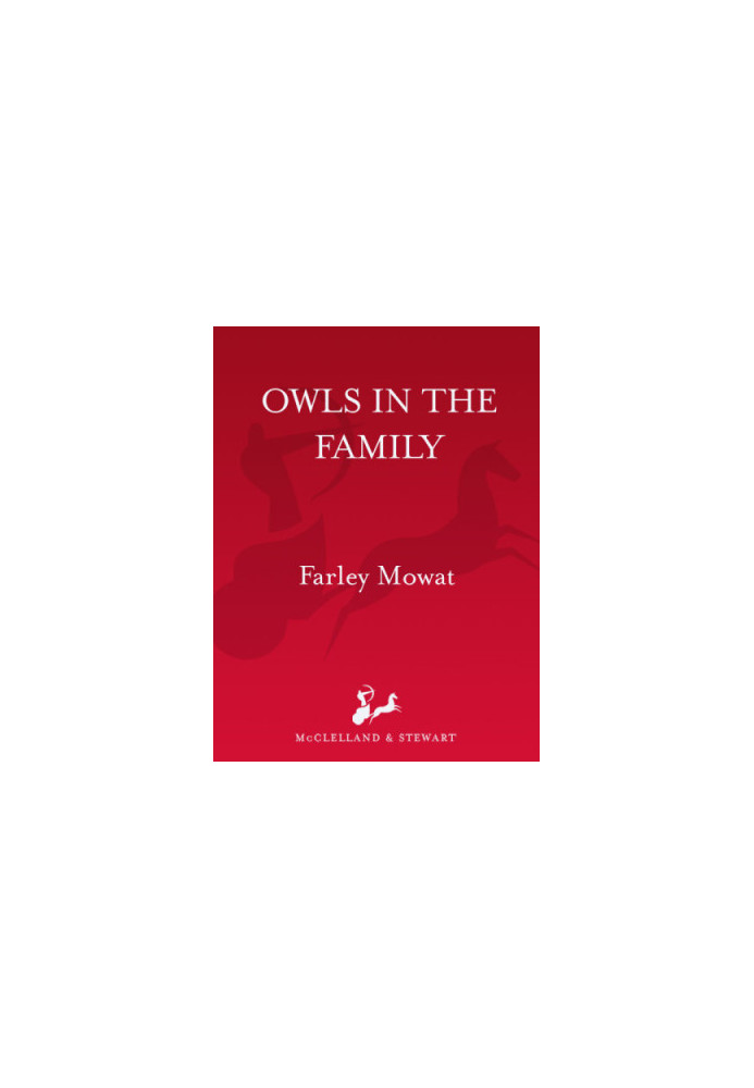 Owls in the Family