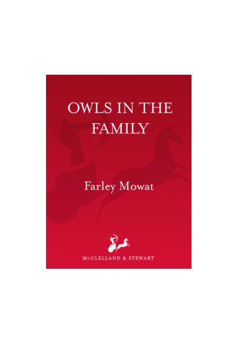 Owls in the Family