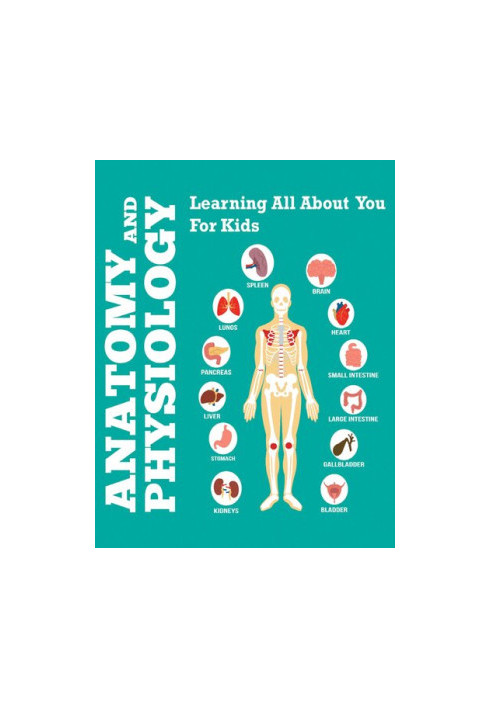 Anatomy And Physiology.