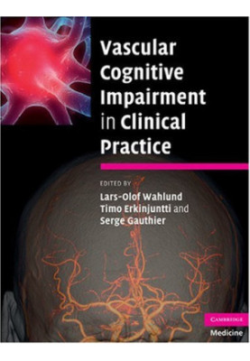Vascular Cognitive Impairment in Clinical Practice.
