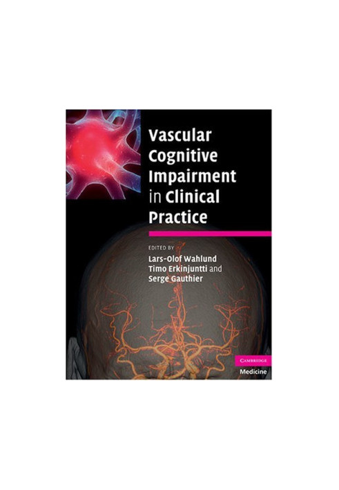 Vascular Cognitive Impairment in Clinical Practice.