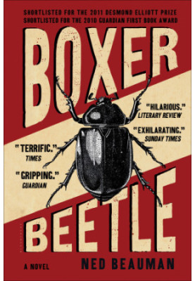 Boxer, Beetle
