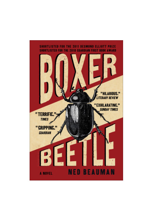 Boxer, Beetle