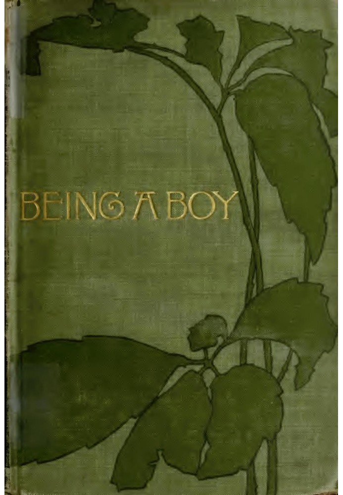 Being a Boy