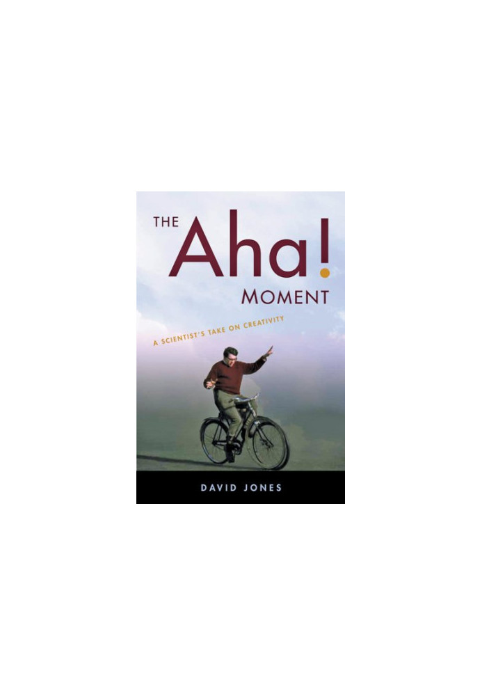 The Aha! Moment: A Scientist's Take on Creativity