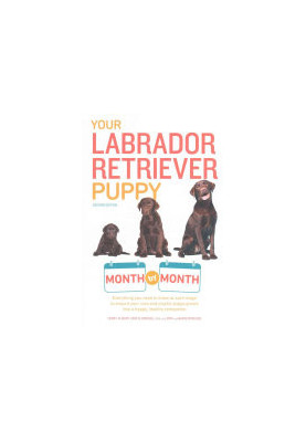 Your Labrador Retriever Puppy Month by Month : Everything You Need to Know at Each Stage of Development