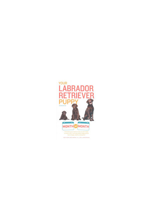 Your Labrador Retriever Puppy Month by Month : Everything You Need to Know at Each Stage of Development