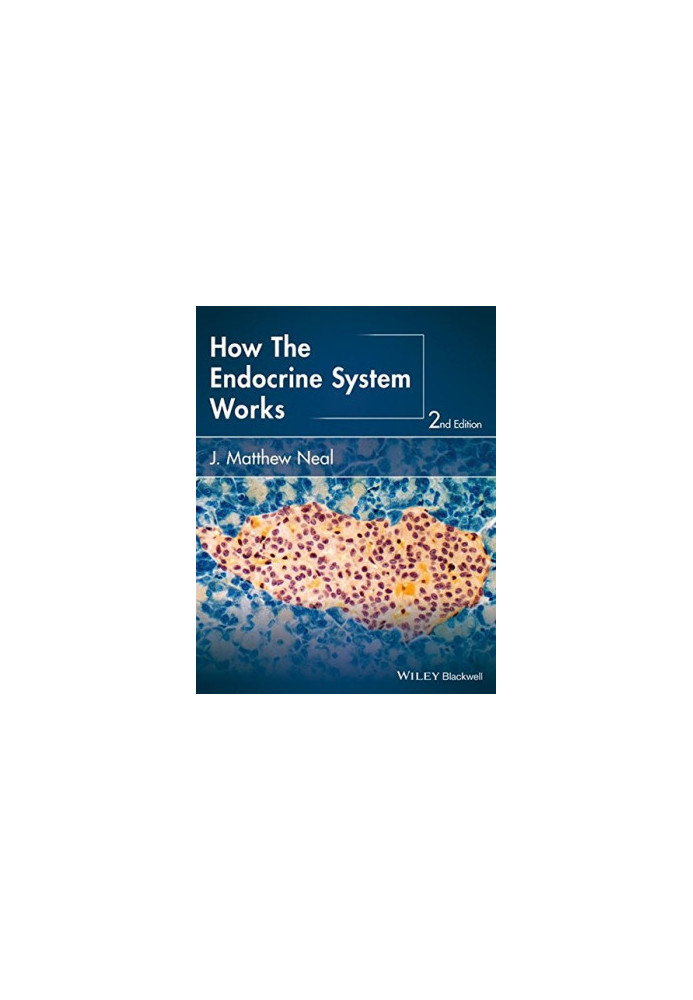 How the endocrine system works