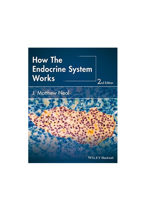How the endocrine system works