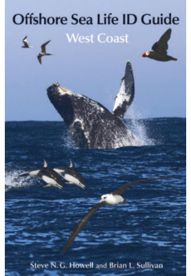 Offshore Sea Life ID Guide