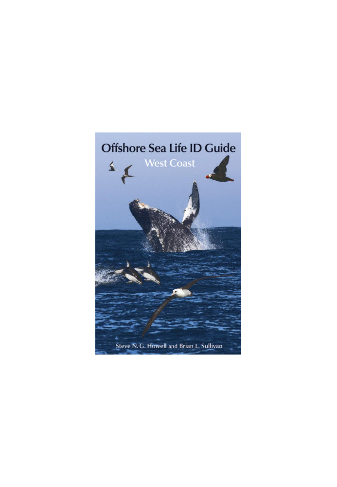 Offshore Sea Life ID Guide
