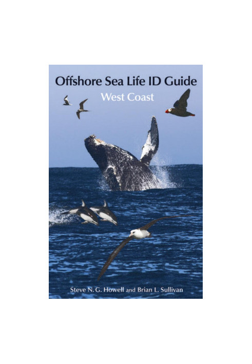 Offshore Sea Life ID Guide