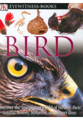 Bird (DK Eyewitness Books)
