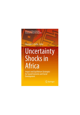 Uncertainty Shocks in Africa: Impact and Equilibrium Strategies for Sound Economic and Social Development
