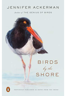 Birds by the Shore: Observing the Natural Life of the Atlantic Coast