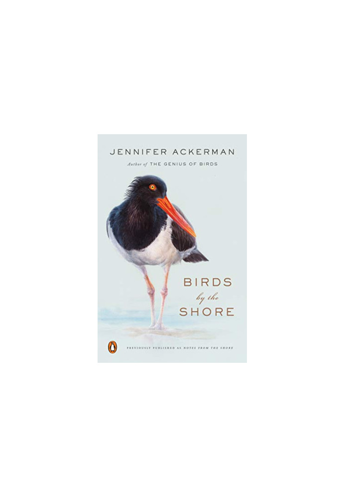 Birds by the Shore: Observing the Natural Life of the Atlantic Coast