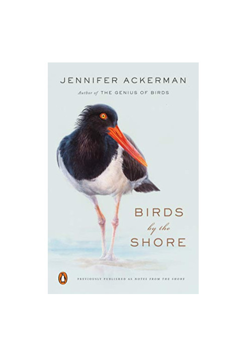 Birds by the Shore: Observing the Natural Life of the Atlantic Coast