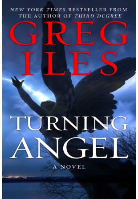 Turning Angel: A Novel