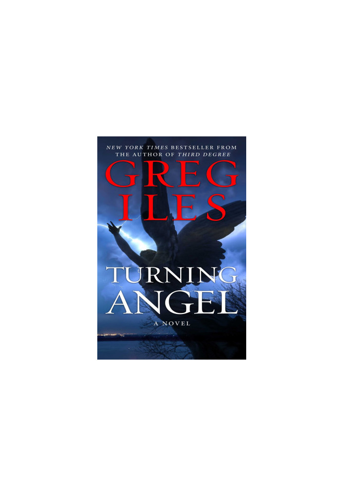 Turning Angel: A Novel