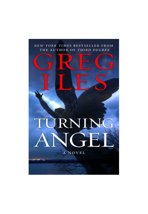 Turning Angel: A Novel
