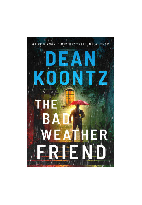The Bad Weather Friend