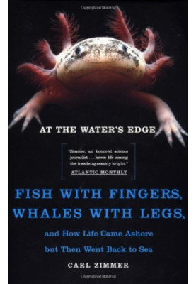At the Water's Edge : Fish with Fingers, Whales with Legs, and How Life Came Ashore but Then Went Back to Sea
