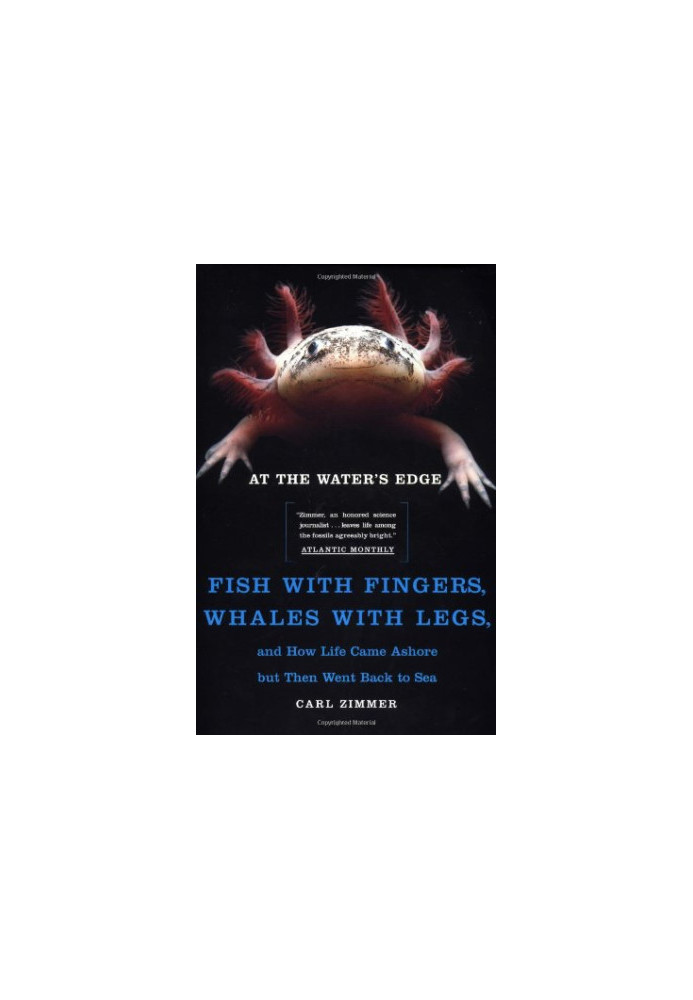 At the Water's Edge : Fish with Fingers, Whales with Legs, and How Life Came Ashore but Then Went Back to Sea