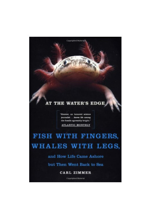 At the Water's Edge : Fish with Fingers, Whales with Legs, and How Life Came Ashore but Then Went Back to Sea