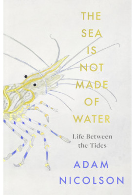 The Sea is Not Made of Water