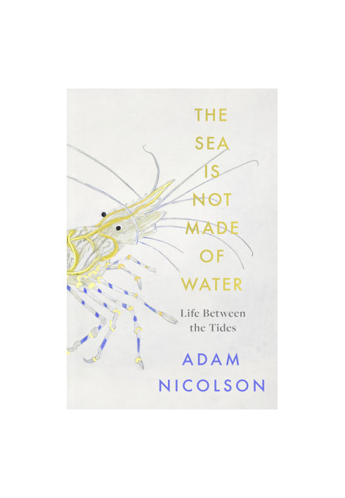The Sea is Not Made of Water
