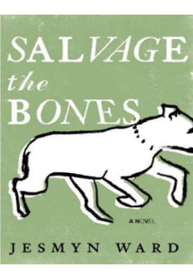 Salvage the Bones